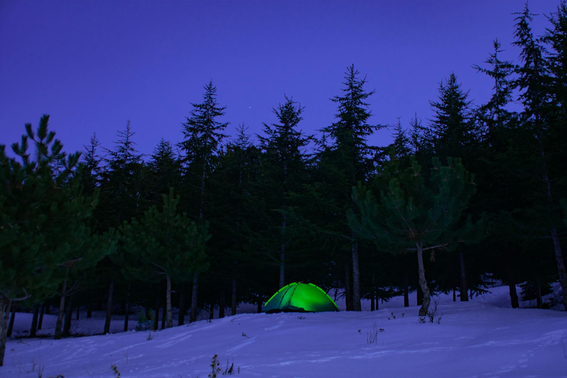 Zielony namiot w ośnieżonym lesie o zmierzchu podczas zimowego biwaku